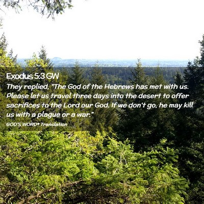 Picture 02 - Exodus 5:3 GW - They replied, “The God of the Hebrews has met - Bible Verse Picture