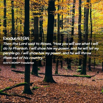 Picture 02 - Exodus 6:1 GW - Then the Lord said to Moses, “Now you will see - Bible Verse Picture