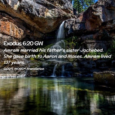 Picture 02 - Exodus 6:20 GW - Amram married his father’s sister Jochebed. She - Bible Verse Picture