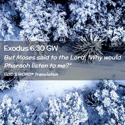 Picture 02 - Exodus 6:30 GW - But Moses said to the Lord, “Why would Pharaoh - Bible Verse Picture