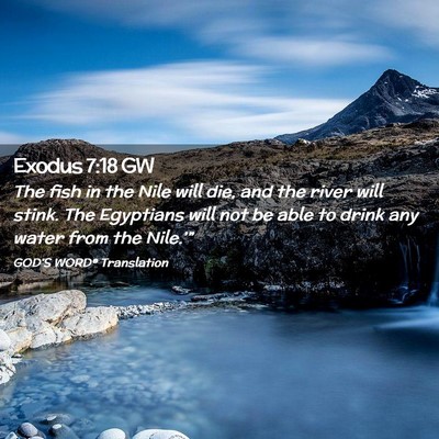 Picture 02 - Exodus 7:18 GW - The fish in the Nile will die, and the river will - Bible Verse Picture