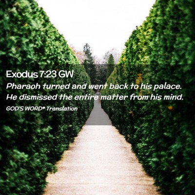 Picture 02 - Exodus 7:23 GW - Pharaoh turned and went back to his palace. He - Bible Verse Picture