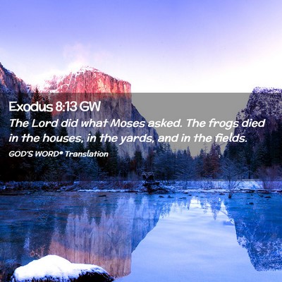 Picture 02 - Exodus 8:13 GW - The Lord did what Moses asked. The frogs died in - Bible Verse Picture