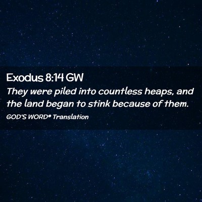 Picture 02 - Exodus 8:14 GW - They were piled into countless heaps, and the - Bible Verse Picture