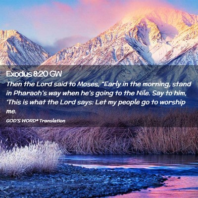 Picture 02 - Exodus 8:20 GW - Then the Lord said to Moses, “Early in the - Bible Verse Picture