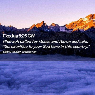 Picture 02 - Exodus 8:25 GW - Pharaoh called for Moses and Aaron and said, - Bible Verse Picture