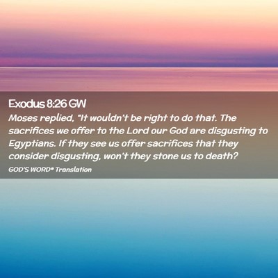 Picture 02 - Exodus 8:26 GW - Moses replied, “It wouldn’t be right to do - Bible Verse Picture