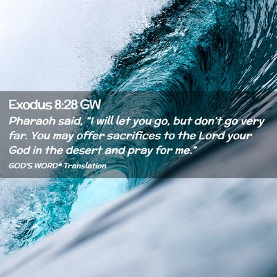 Picture 02 - Exodus 8:28 GW - Pharaoh said, “I will let you go, but don’t - Bible Verse Picture