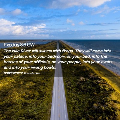 Picture 02 - Exodus 8:3 GW - The Nile River will swarm with frogs. They will - Bible Verse Picture