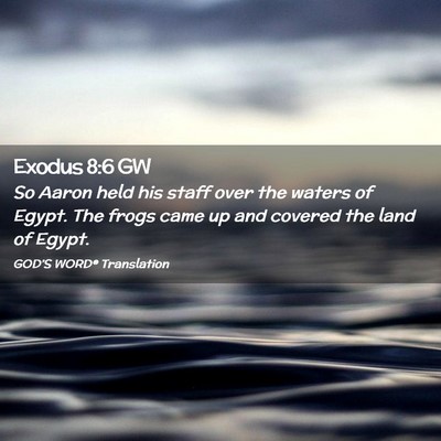 Picture 02 - Exodus 8:6 GW - So Aaron held his staff over the waters of Egypt. - Bible Verse Picture