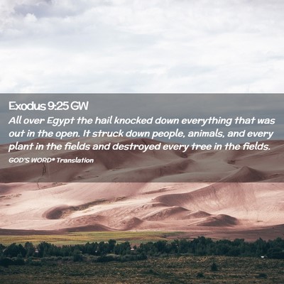Picture 02 - Exodus 9:25 GW - All over Egypt the hail knocked down everything - Bible Verse Picture
