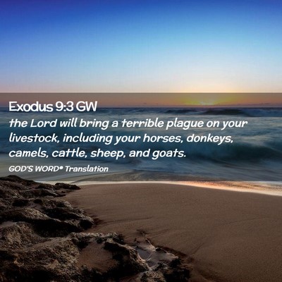 Picture 02 - Exodus 9:3 GW - the Lord will bring a terrible plague on your - Bible Verse Picture