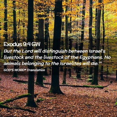 Picture 02 - Exodus 9:4 GW - But the Lord will distinguish between Israel’s - Bible Verse Picture