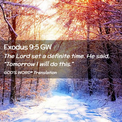 Picture 02 - Exodus 9:5 GW - The Lord set a definite time. He said, - Bible Verse Picture