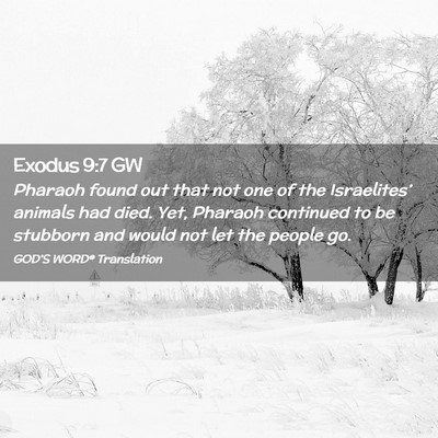 Picture 02 - Exodus 9:7 GW - Pharaoh found out that not one of the - Bible Verse Picture