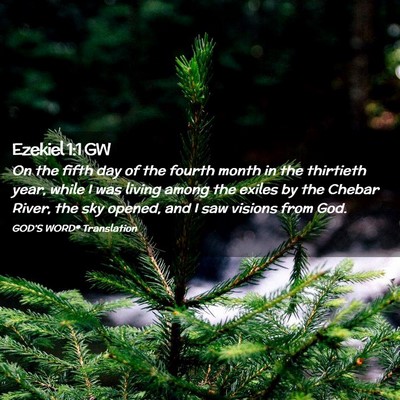 Picture 02 - Ezekiel 1:1 GW - On the fifth day of the fourth month in the - Bible Verse Picture