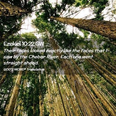 Picture 02 - Ezekiel 10:22 GW - Their faces looked exactly like the faces that I - Bible Verse Picture