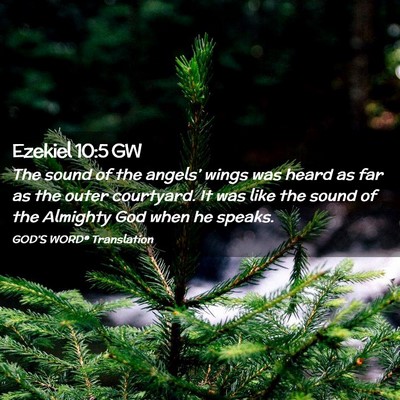 Picture 02 - Ezekiel 10:5 GW - The sound of the angels’ wings was heard as far - Bible Verse Picture