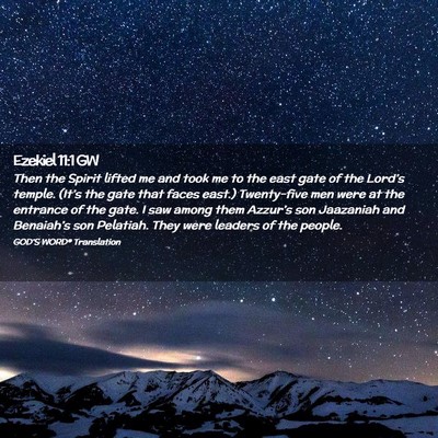 Picture 02 - Ezekiel 11:1 GW - Then the Spirit lifted me and took me to the east - Bible Verse Picture