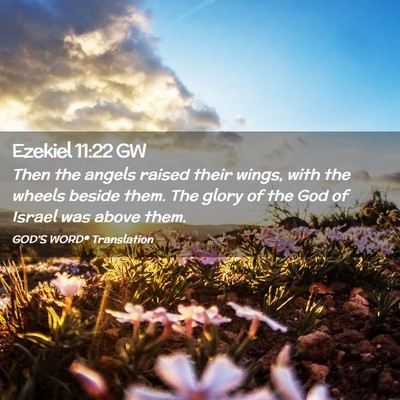 Picture 02 - Ezekiel 11:22 GW - Then the angels raised their wings, with the - Bible Verse Picture