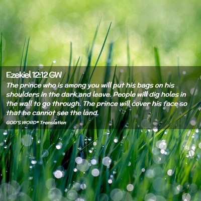 Picture 02 - Ezekiel 12:12 GW - The prince who is among you will put his bags on - Bible Verse Picture