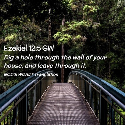 Picture 02 - Ezekiel 12:5 GW - Dig a hole through the wall of your house, and - Bible Verse Picture