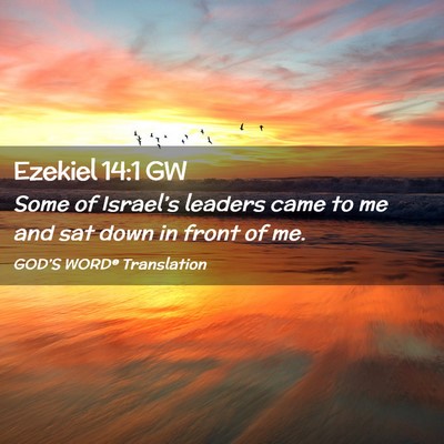 Picture 02 - Ezekiel 14:1 GW - Some of Israel’s leaders came to me and sat - Bible Verse Picture