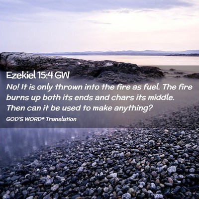 Picture 02 - Ezekiel 15:4 GW - No! It is only thrown into the fire as fuel. The - Bible Verse Picture