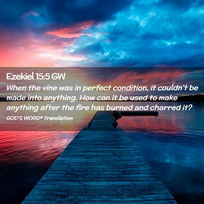 Picture 02 - Ezekiel 15:5 GW - When the vine was in perfect condition, it - Bible Verse Picture