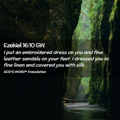 Picture 02 - Ezekiel 16:10 GW - I put an embroidered dress on you and fine - Bible Verse Picture