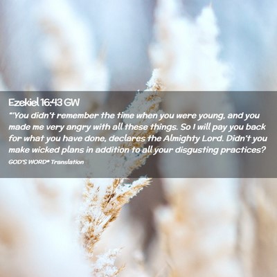 Picture 02 - Ezekiel 16:43 GW - “‘You didn’t remember the time when you - Bible Verse Picture