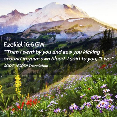 Picture 02 - Ezekiel 16:6 GW - “‘Then I went by you and saw you kicking - Bible Verse Picture