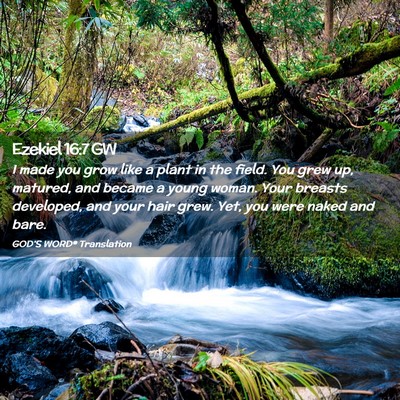 Picture 02 - Ezekiel 16:7 GW - I made you grow like a plant in the field. You - Bible Verse Picture