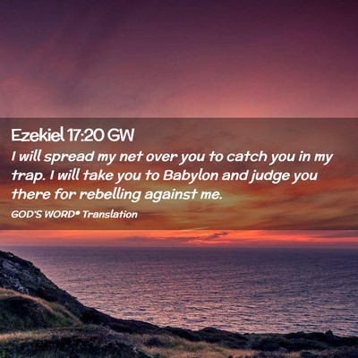 Picture 02 - Ezekiel 17:20 GW - I will spread my net over you to catch you in my - Bible Verse Picture