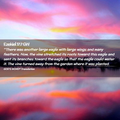 Picture 02 - Ezekiel 17:7 GW - “‘There was another large eagle with large - Bible Verse Picture