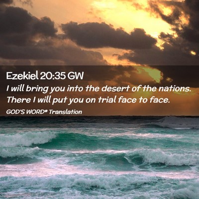 Picture 02 - Ezekiel 20:35 GW - I will bring you into the desert of the nations. - Bible Verse Picture
