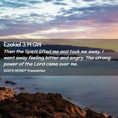Picture 02 - Ezekiel 3:14 GW - Then the Spirit lifted me and took me away. I - Bible Verse Picture