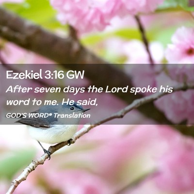 Picture 02 - Ezekiel 3:16 GW - After seven days the Lord spoke his word to me. - Bible Verse Picture