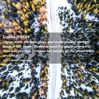 Picture 02 - Ezekiel 31:4 GW - Water made the tree grow, and underground springs - Bible Verse Picture