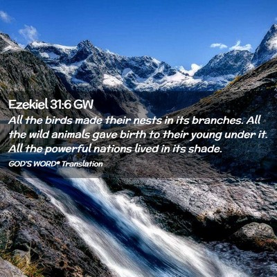 Picture 02 - Ezekiel 31:6 GW - All the birds made their nests in its branches. - Bible Verse Picture