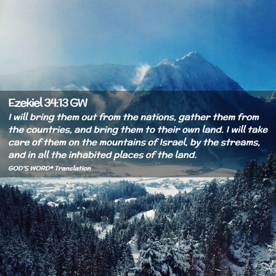 Picture 02 - Ezekiel 34:13 GW - I will bring them out from the nations, gather - Bible Verse Picture