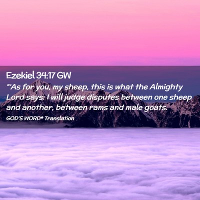 Picture 02 - Ezekiel 34:17 GW - “‘As for you, my sheep, this is what the - Bible Verse Picture