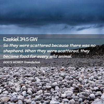 Picture 02 - Ezekiel 34:5 GW - So they were scattered because there was no - Bible Verse Picture