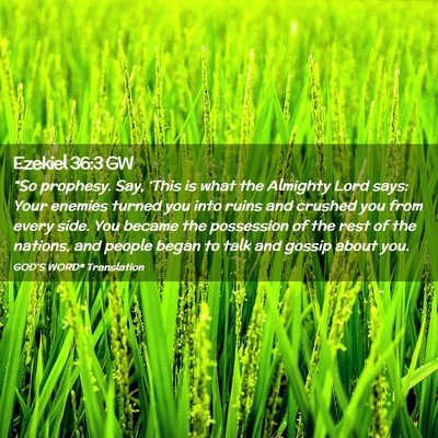 Picture 02 - Ezekiel 36:3 GW - “So prophesy. Say, ‘This is what the Almighty - Bible Verse Picture