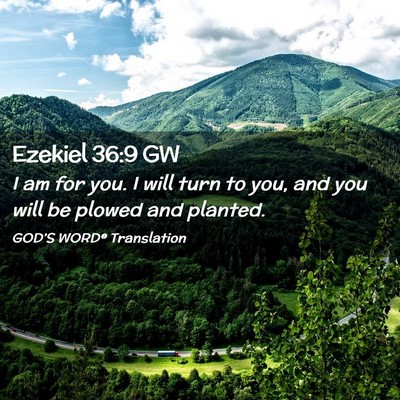 Picture 02 - Ezekiel 36:9 GW - I am for you. I will turn to you, and you will be - Bible Verse Picture