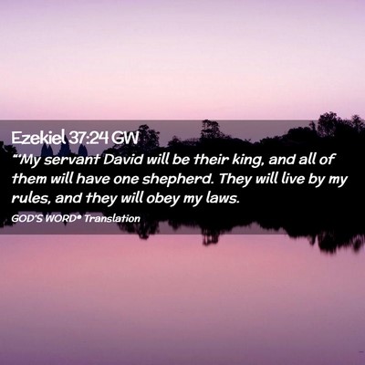 Picture 02 - Ezekiel 37:24 GW - “‘My servant David will be their king, and - Bible Verse Picture