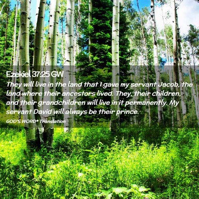 Picture 02 - Ezekiel 37:25 GW - They will live in the land that I gave my servant - Bible Verse Picture