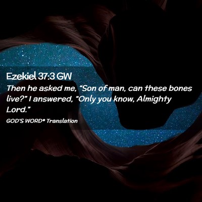 Picture 02 - Ezekiel 37:3 GW - Then he asked me, “Son of man, can these bones - Bible Verse Picture