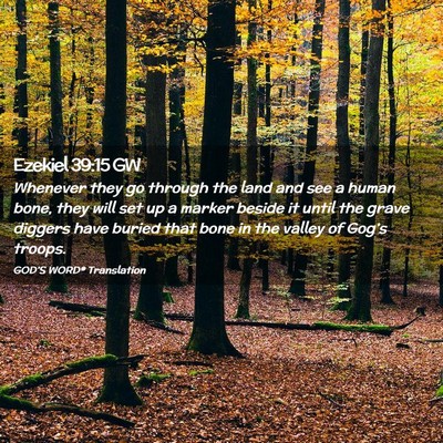Picture 02 - Ezekiel 39:15 GW - Whenever they go through the land and see a human - Bible Verse Picture