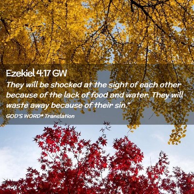 Picture 02 - Ezekiel 4:17 GW - They will be shocked at the sight of each other - Bible Verse Picture